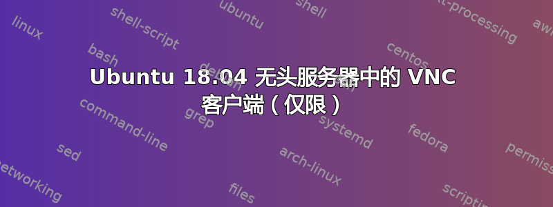 Ubuntu 18.04 无头服务器中的 VNC 客户端（仅限）