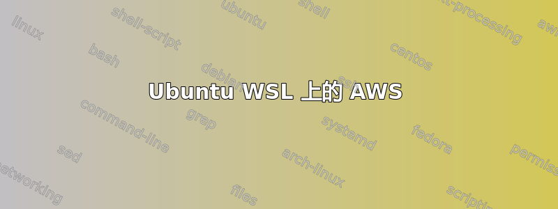 Ubuntu WSL 上的 AWS