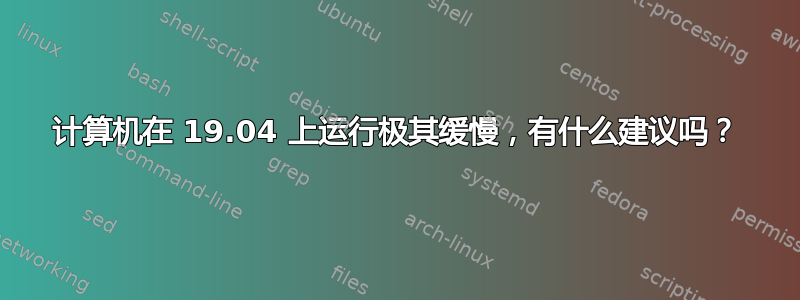 计算机在 19.04 上运行极其缓慢，有什么建议吗？