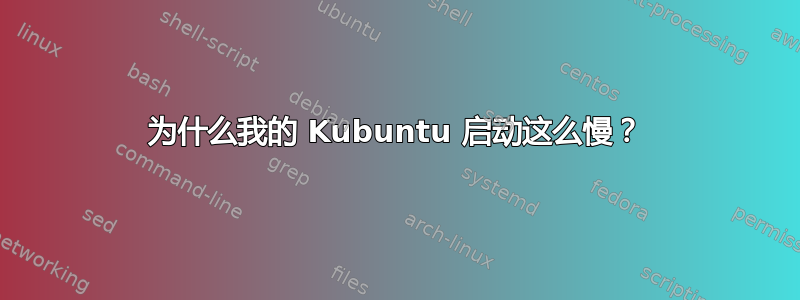 为什么我的 Kubuntu 启动这么慢？