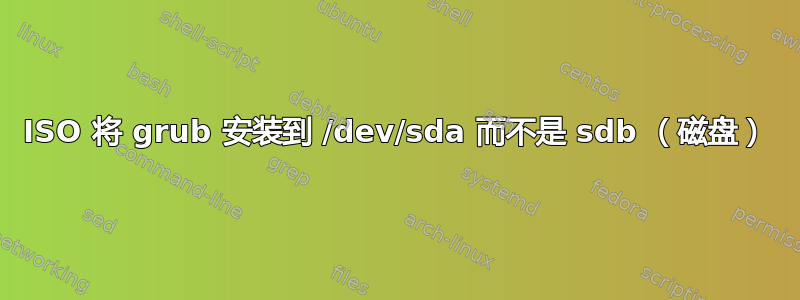 ISO 将 grub 安装到 /dev/sda 而不是 sdb （磁盘）