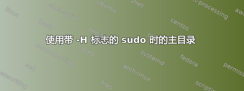 使用带 -H 标志的 sudo 时的主目录