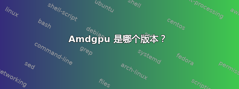 Amdgpu 是哪个版本？