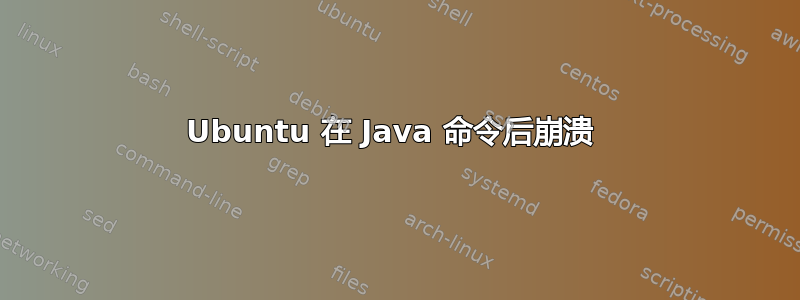 Ubuntu 在 Java 命令后崩溃 