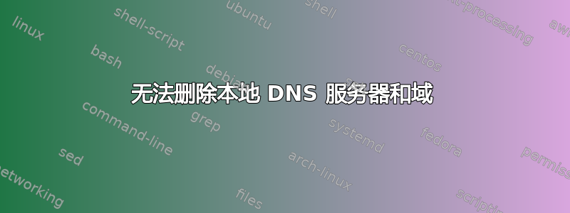 无法删除本地 DNS 服务器和域