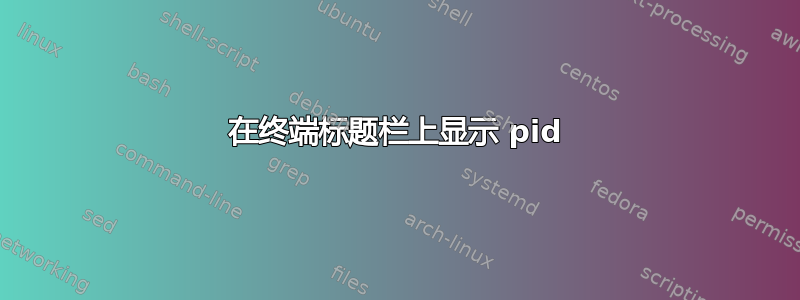 在终端标题栏上显示 pid