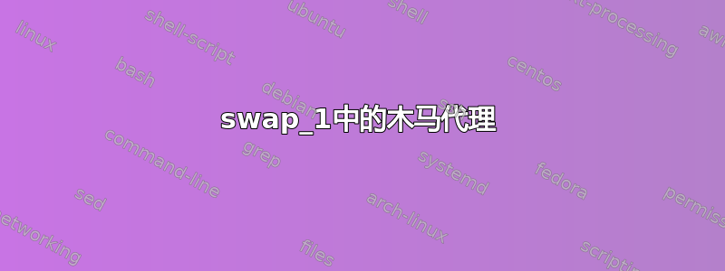 swap_1中的木马代理