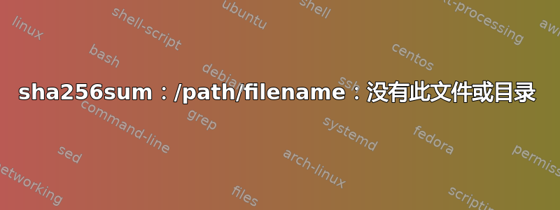 sha256sum：/path/filename：没有此文件或目录