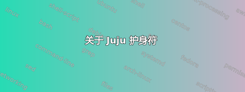 关于 Juju 护身符