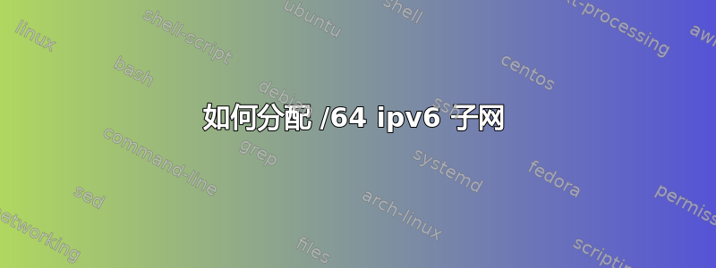 如何分配 /64 ipv6 子网