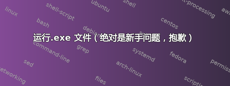 运行.exe 文件（绝对是新手问题，抱歉）