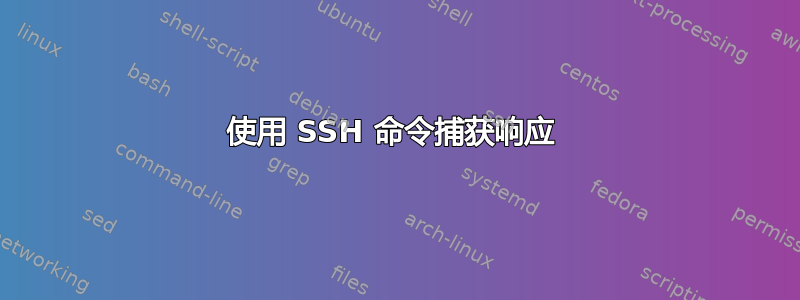 使用 SSH 命令捕获响应 