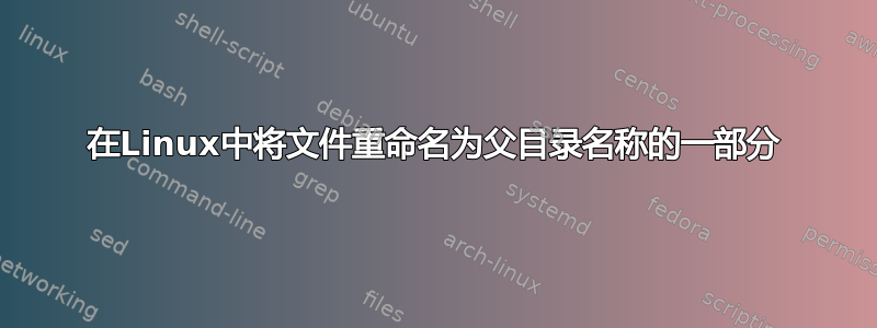 在Linux中将文件重命名为父目录名称的一部分