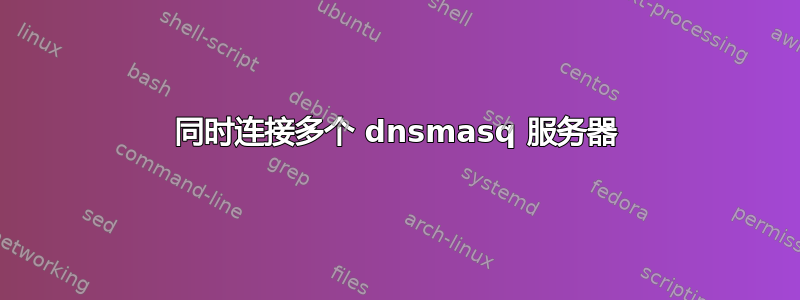 同时连接多个 dnsmasq 服务器