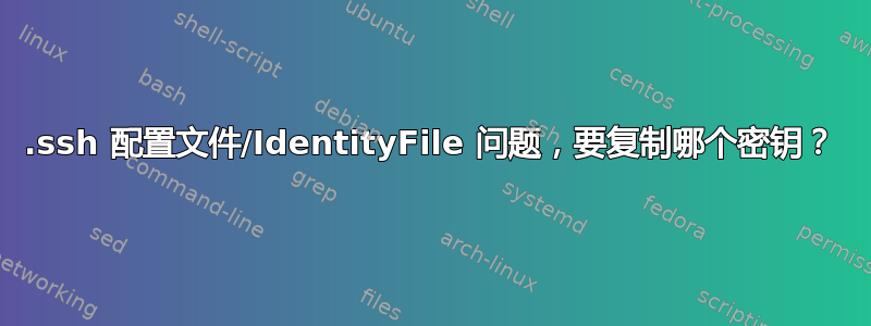 .ssh 配置文件/IdentityFile 问题，要复制哪个密钥？