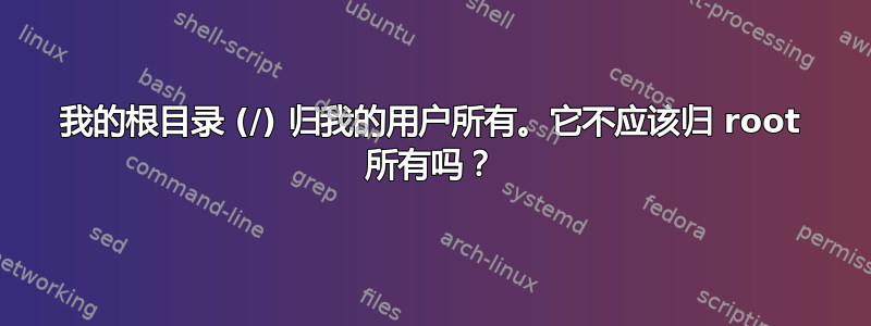 我的根目录 (/) 归我的用户所有。它不应该归 root 所有吗？