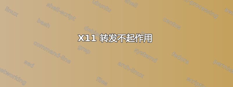 X11 转发不起作用