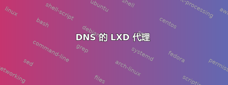 DNS 的 LXD 代理