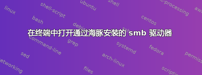 在终端中打开通过海豚安装的 smb 驱动器