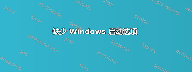 缺少 Windows 启动选项