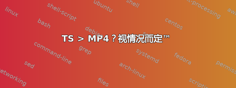 TS > MP4？视情况而定™