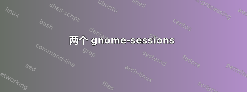 两个 gnome-sessions