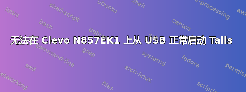 无法在 Clevo N857EK1 上从 USB 正常启动 Tails