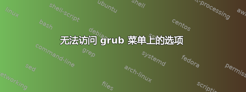 无法访问 grub 菜单上的选项