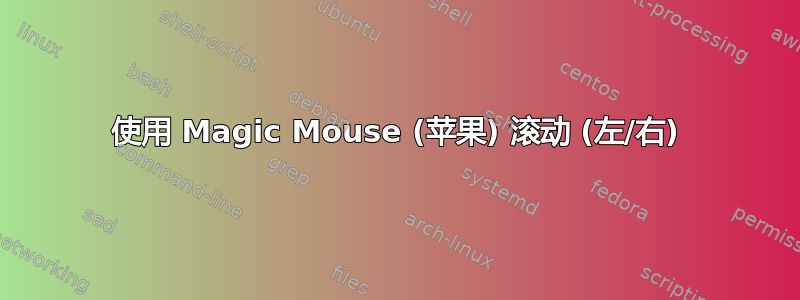 使用 Magic Mouse (苹果) 滚动 (左/右)