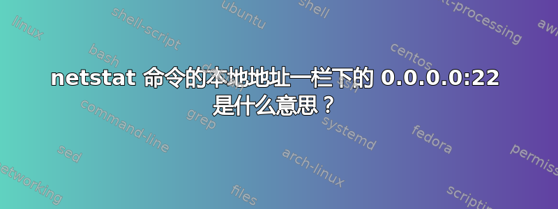 netstat 命令的本地地址一栏下的 0.0.0.0:22 是什么意思？