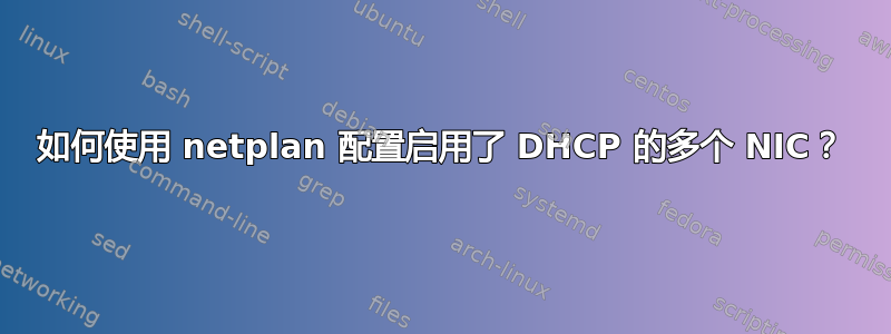 如何使用 netplan 配置启用了 DHCP 的多个 NIC？