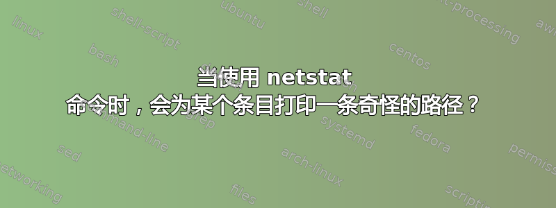 当使用 netstat 命令时，会为某个条目打印一条奇怪的路径？