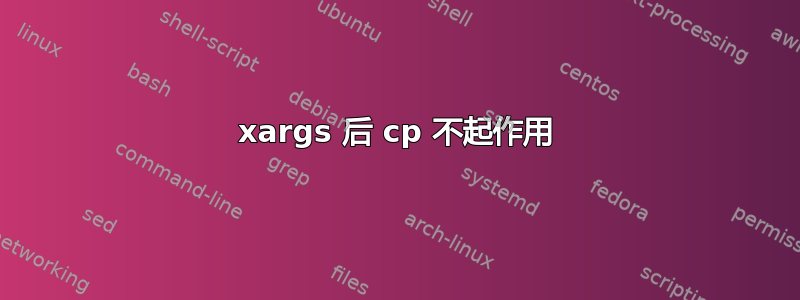 xargs 后 cp 不起作用