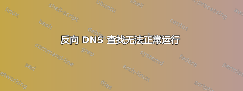 反向 DNS 查找无法正常运行