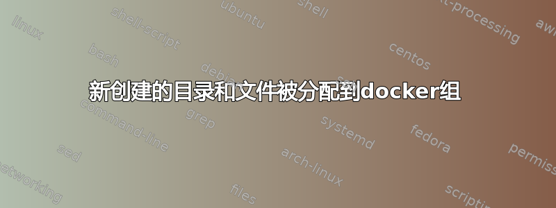 新创建的目录和文件被分配到docker组