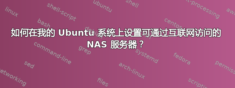 如何在我的 Ubuntu 系统上设置可通过互联网访问的 NAS 服务器？