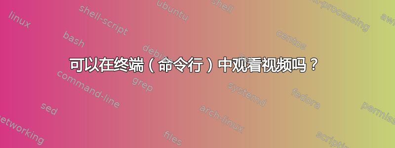 可以在终端（命令行）中观看视频吗？