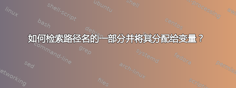 如何检索路径名的一部分并将其分配给变量？