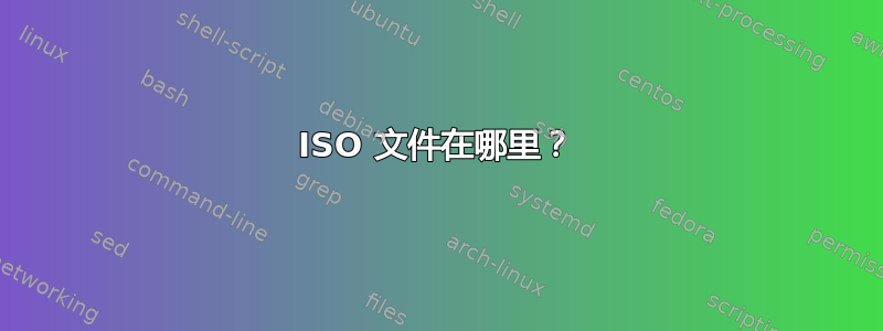 ISO 文件在哪里？