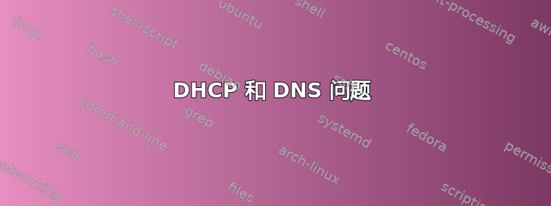 DHCP 和 DNS 问题