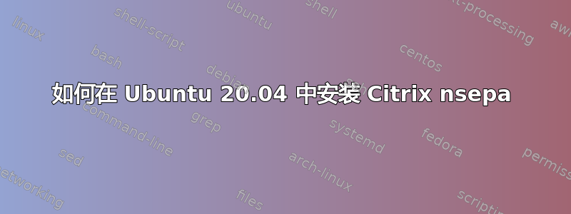 如何在 Ubuntu 20.04 中安装 Citrix nsepa