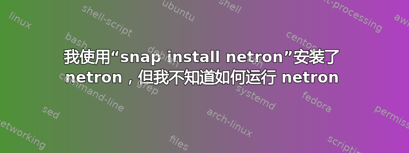 我使用“snap install netron”安装了 netron，但我不知道如何运行 netron