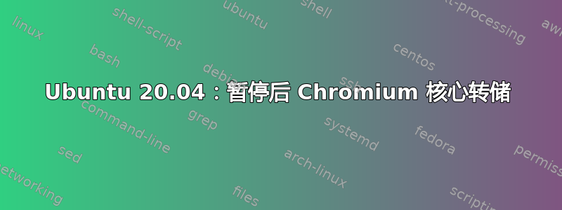 Ubuntu 20.04：暂停后 Chromium 核心转储