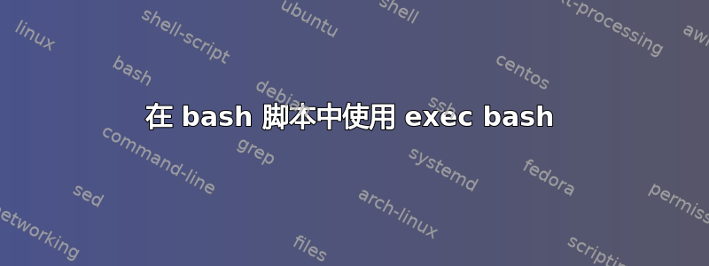 在 bash 脚本中使用 exec bash