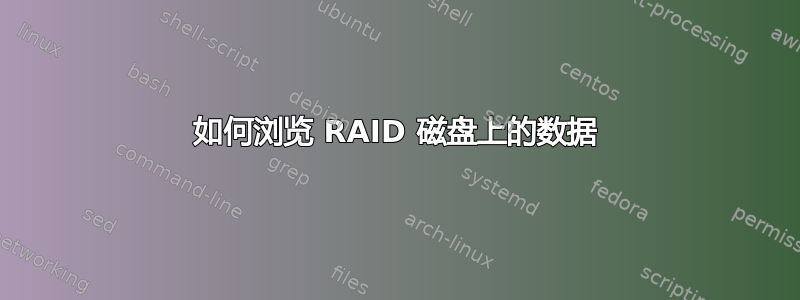 如何浏览 RAID 磁盘上的数据