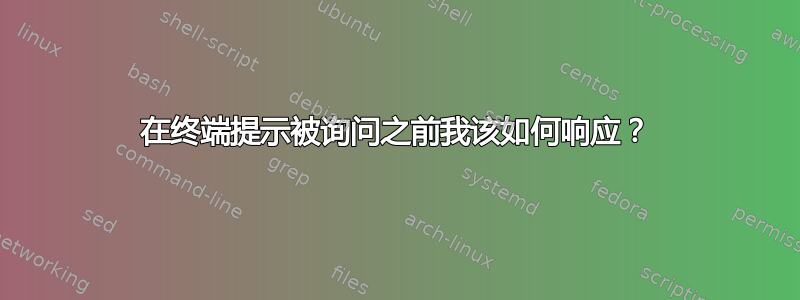 在终端提示被询问之前我该如何响应？