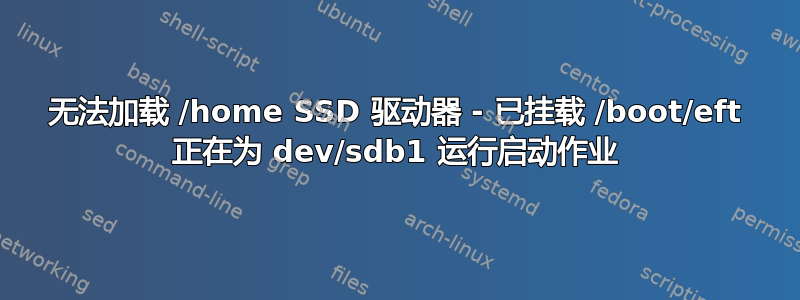 无法加载 /home SSD 驱动器 - 已挂载 /boot/eft 正在为 dev/sdb1 运行启动作业