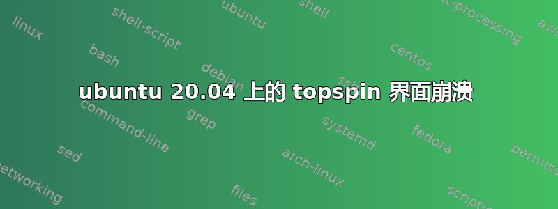 ubuntu 20.04 上的 topspin 界面崩溃