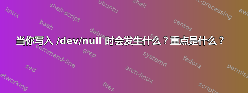 当你写入 /dev/null 时会发生什么？重点是什么？ 