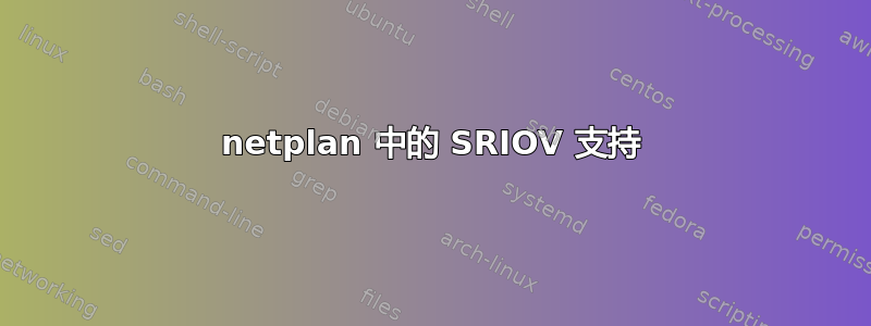 netplan 中的 SRIOV 支持